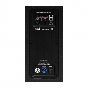 Активная акустическая система AST-310A в Йошкар-Оле