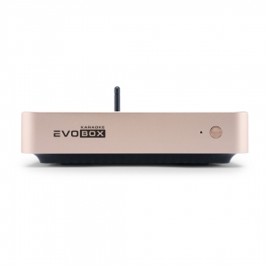 EVOBOX Plus караоке-система для дома в Йошкар-Оле
