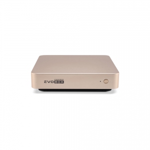 EVOBOX с микрофонами в Йошкар-Оле